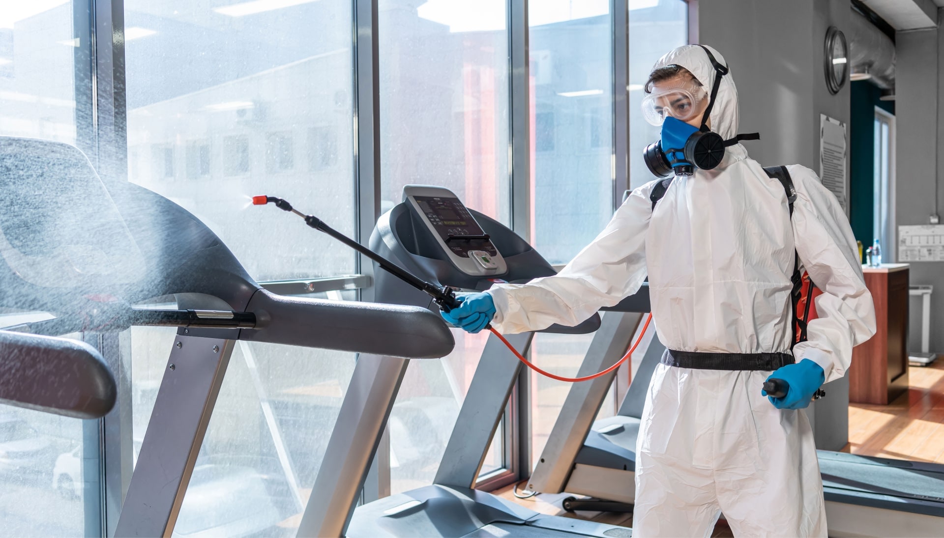 Commercial Mold Removal Services in Roswell