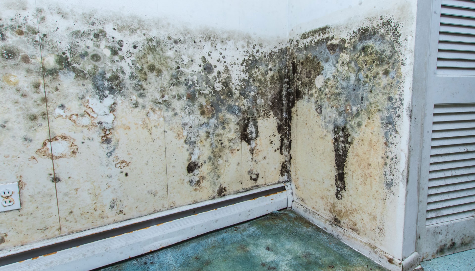 Mold Damage Odor Control Services in Roswell