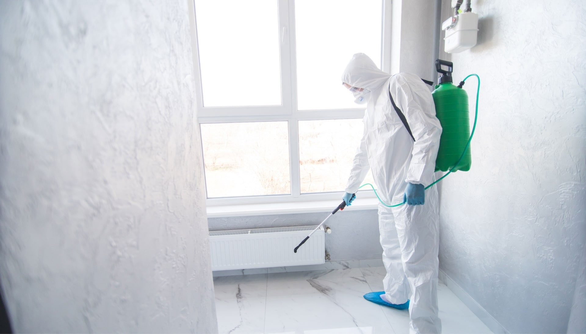 Mold Inspection Services in Roswell